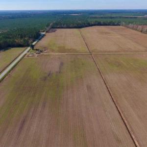Photo of UNDER CONTRACT!!  106.3 Acres of Farmland, Timberland, and Hunting Land For Sale in Jones County NC!