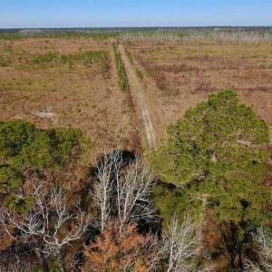 Photo of UNDER CONTRACT!!  106.3 Acres of Farmland, Timberland, and Hunting Land For Sale in Jones County NC!