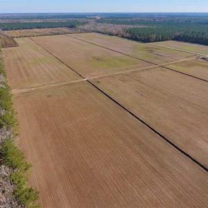 Photo of UNDER CONTRACT!!  106.3 Acres of Farmland, Timberland, and Hunting Land For Sale in Jones County NC!