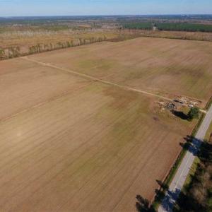 Photo of UNDER CONTRACT!!  106.3 Acres of Farmland, Timberland, and Hunting Land For Sale in Jones County NC!