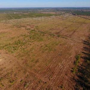 Photo of UNDER CONTRACT!!  106.3 Acres of Farmland, Timberland, and Hunting Land For Sale in Jones County NC!
