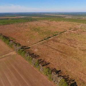 Photo of UNDER CONTRACT!!  106.3 Acres of Farmland, Timberland, and Hunting Land For Sale in Jones County NC!