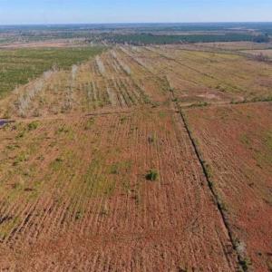 Photo of UNDER CONTRACT!!  106.3 Acres of Farmland, Timberland, and Hunting Land For Sale in Jones County NC!