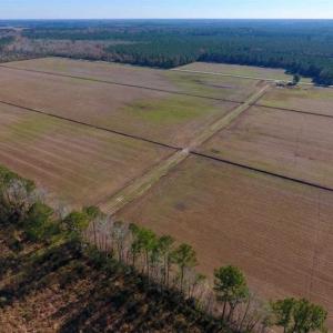 Photo of UNDER CONTRACT!!  106.3 Acres of Farmland, Timberland, and Hunting Land For Sale in Jones County NC!