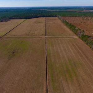 Photo of UNDER CONTRACT!!  106.3 Acres of Farmland, Timberland, and Hunting Land For Sale in Jones County NC!