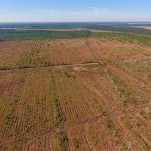 Photo of UNDER CONTRACT!!  106.3 Acres of Farmland, Timberland, and Hunting Land For Sale in Jones County NC!