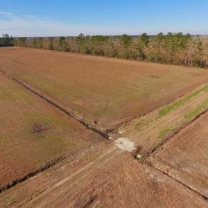 Photo of UNDER CONTRACT!!  106.3 Acres of Farmland, Timberland, and Hunting Land For Sale in Jones County NC!