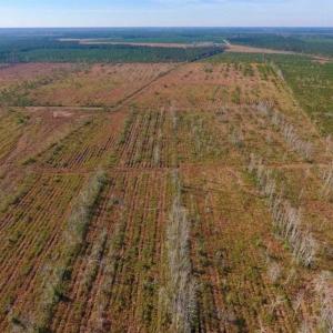 Photo of UNDER CONTRACT!!  106.3 Acres of Farmland, Timberland, and Hunting Land For Sale in Jones County NC!