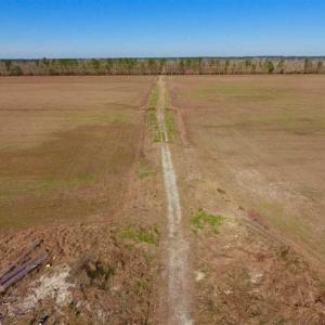 Photo of UNDER CONTRACT!!  106.3 Acres of Farmland, Timberland, and Hunting Land For Sale in Jones County NC!