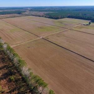 Photo of UNDER CONTRACT!!  106.3 Acres of Farmland, Timberland, and Hunting Land For Sale in Jones County NC!
