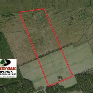 Photo of UNDER CONTRACT!!  106.3 Acres of Farmland, Timberland, and Hunting Land For Sale in Jones County NC!