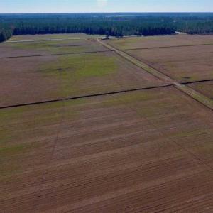 Photo of UNDER CONTRACT!!  106.3 Acres of Farmland, Timberland, and Hunting Land For Sale in Jones County NC!