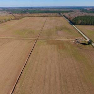 Photo of UNDER CONTRACT!!  106.3 Acres of Farmland, Timberland, and Hunting Land For Sale in Jones County NC!
