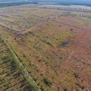 Photo of UNDER CONTRACT!!  106.3 Acres of Farmland, Timberland, and Hunting Land For Sale in Jones County NC!