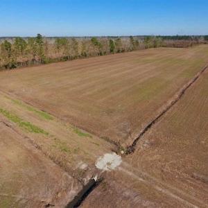 Photo of UNDER CONTRACT!!  106.3 Acres of Farmland, Timberland, and Hunting Land For Sale in Jones County NC!