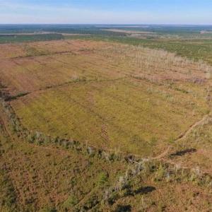 Photo of UNDER CONTRACT!!  100 Acres of Farmland, Timberland, and Hunting Land For Sale in Jones County NC!