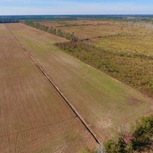 Photo of UNDER CONTRACT!!  100 Acres of Farmland, Timberland, and Hunting Land For Sale in Jones County NC!