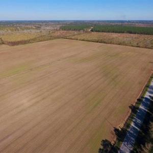 Photo of UNDER CONTRACT!!  100 Acres of Farmland, Timberland, and Hunting Land For Sale in Jones County NC!