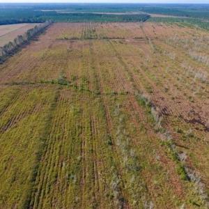 Photo of UNDER CONTRACT!!  100 Acres of Farmland, Timberland, and Hunting Land For Sale in Jones County NC!