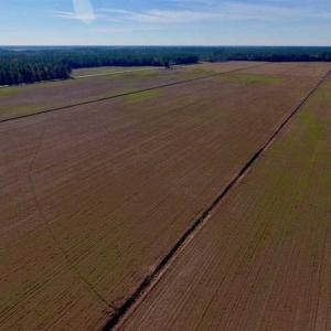 Photo of UNDER CONTRACT!!  100 Acres of Farmland, Timberland, and Hunting Land For Sale in Jones County NC!