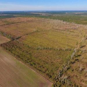 Photo of UNDER CONTRACT!!  100 Acres of Farmland, Timberland, and Hunting Land For Sale in Jones County NC!