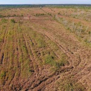 Photo of UNDER CONTRACT!!  100 Acres of Farmland, Timberland, and Hunting Land For Sale in Jones County NC!