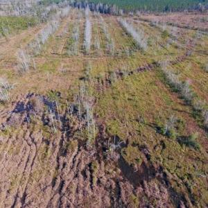 Photo of UNDER CONTRACT!!  100 Acres of Farmland, Timberland, and Hunting Land For Sale in Jones County NC!