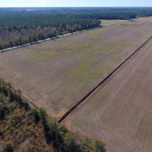 Photo of UNDER CONTRACT!!  100 Acres of Farmland, Timberland, and Hunting Land For Sale in Jones County NC!
