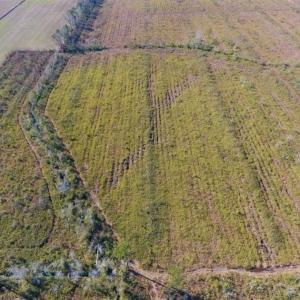Photo of UNDER CONTRACT!!  100 Acres of Farmland, Timberland, and Hunting Land For Sale in Jones County NC!