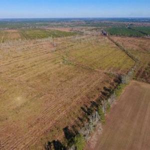 Photo of UNDER CONTRACT!!  100 Acres of Farmland, Timberland, and Hunting Land For Sale in Jones County NC!