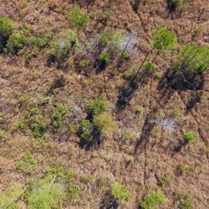Photo of UNDER CONTRACT!!  100 Acres of Farmland, Timberland, and Hunting Land For Sale in Jones County NC!