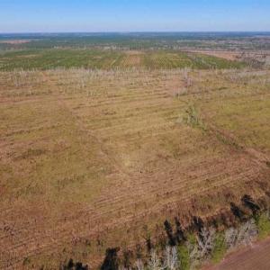 Photo of UNDER CONTRACT!!  100 Acres of Farmland, Timberland, and Hunting Land For Sale in Jones County NC!
