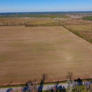 Photo of UNDER CONTRACT!!  100 Acres of Farmland, Timberland, and Hunting Land For Sale in Jones County NC!
