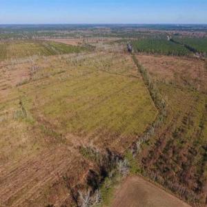 Photo of UNDER CONTRACT!!  100 Acres of Farmland, Timberland, and Hunting Land For Sale in Jones County NC!