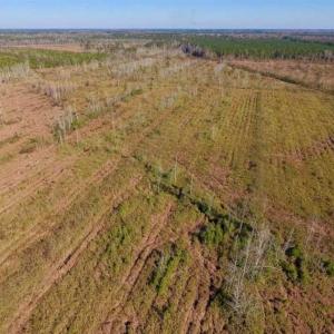 Photo of UNDER CONTRACT!!  100 Acres of Farmland, Timberland, and Hunting Land For Sale in Jones County NC!