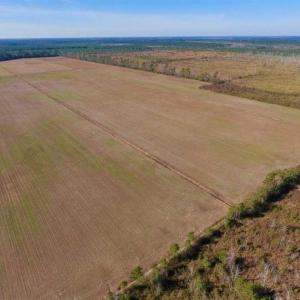 Photo of UNDER CONTRACT!!  100 Acres of Farmland, Timberland, and Hunting Land For Sale in Jones County NC!