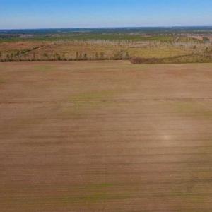 Photo of UNDER CONTRACT!!  100 Acres of Farmland, Timberland, and Hunting Land For Sale in Jones County NC!