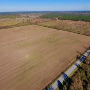 Photo of UNDER CONTRACT!!  100 Acres of Farmland, Timberland, and Hunting Land For Sale in Jones County NC!