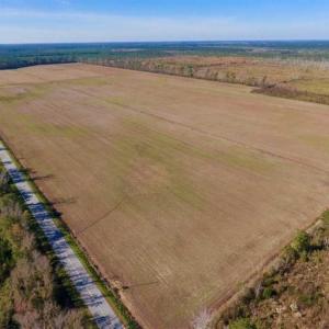 Photo of UNDER CONTRACT!!  100 Acres of Farmland, Timberland, and Hunting Land For Sale in Jones County NC!