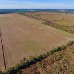 Photo of UNDER CONTRACT!!  100 Acres of Farmland, Timberland, and Hunting Land For Sale in Jones County NC!