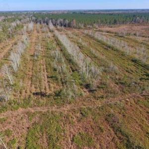 Photo of UNDER CONTRACT!!  100 Acres of Farmland, Timberland, and Hunting Land For Sale in Jones County NC!