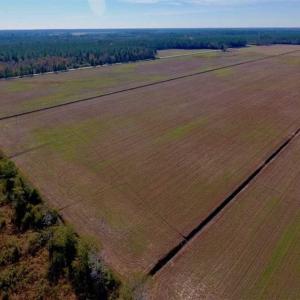 Photo of UNDER CONTRACT!!  100 Acres of Farmland, Timberland, and Hunting Land For Sale in Jones County NC!