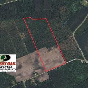 Photo of UNDER CONTRACT!!  100 Acres of Farmland, Timberland, and Hunting Land For Sale in Jones County NC!