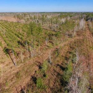 Photo of UNDER CONTRACT!!  100 Acres of Farmland, Timberland, and Hunting Land For Sale in Jones County NC!