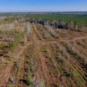 Photo of UNDER CONTRACT!!  100 Acres of Farmland, Timberland, and Hunting Land For Sale in Jones County NC!