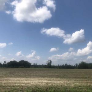 Photo of SOLD!!  94 Acres of Farm and Hunting Land For Sale in Robeson County NC!