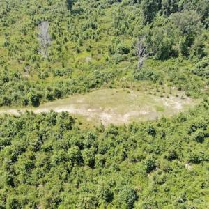Photo of SOLD!!  94 Acres of Farm and Hunting Land For Sale in Robeson County NC!