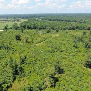 Photo of SOLD!!  94 Acres of Farm and Hunting Land For Sale in Robeson County NC!