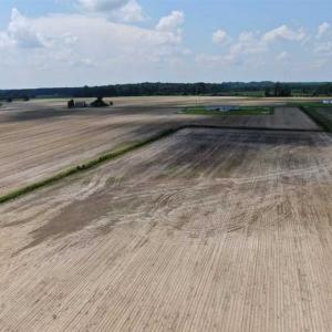 Photo of SOLD!!  94 Acres of Farm and Hunting Land For Sale in Robeson County NC!