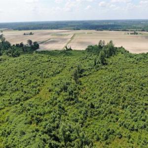 Photo of SOLD!!  94 Acres of Farm and Hunting Land For Sale in Robeson County NC!